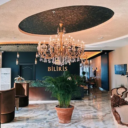 Biliris فندق